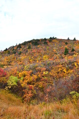 Mt Kurikoma is a volcano on the prefectural borders of Akita, Iwate and Miyagi. It is famous for having a wide range of mountain plants and amazing fall foliage. It is known as one of Japan’s best Mt.