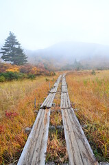 Mt Kurikoma is a volcano on the prefectural borders of Akita, Iwate and Miyagi. It is famous for having a wide range of mountain plants and amazing fall foliage. It is known as one of Japan’s best Mt.