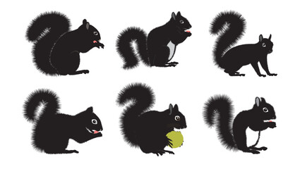 Squirrel set cartoon cute funny  squirrel collection. Little animal mood. Animal cartoon character design, vector illustration, flat isolated on white background.