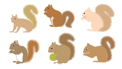 Squirrel set cartoon cute funny  squirrel collection. Little animal mood. Animal cartoon character design, vector illustration, flat isolated on white background.