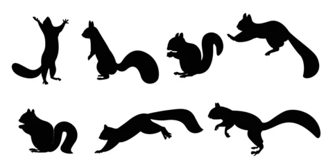 Fotobehang Squirrel with vector silhouette. Funny wild animal cartoon squirrel running, standing and jumping. vector squirrel collection cartoon animal character design Isolated flat  illustration. © SIRAPOB
