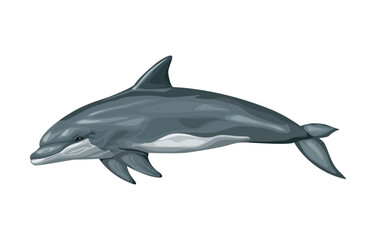 bottlenose whale sealife