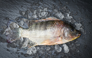 Tilapia with ice on dark background, Fresh raw tilapia fish from the tilapia farm