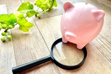 豚の貯金箱と虫眼鏡　お金の問題を見直す