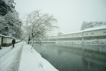 雪の彦根城