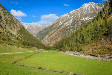 Fototapeta na wymiar Alpine meadows in Stubai Valley and river, North Tyrol, Austria