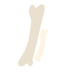 bone illustration