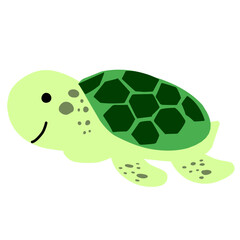 green turtle