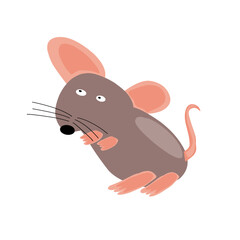 rat illustration