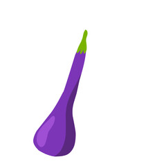 eggplant illustration