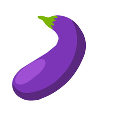 eggplant illustration