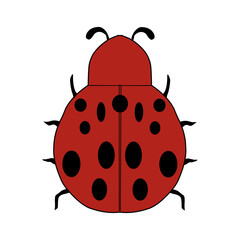 red beetle