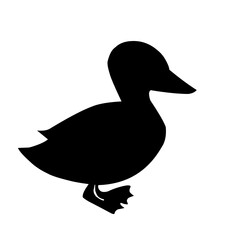 duck silhouette