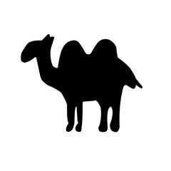 Camel silhouette