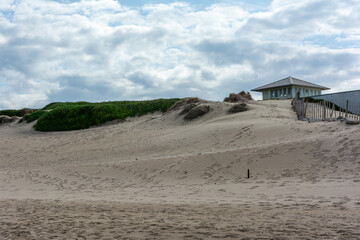 sand on the beach forming a dune