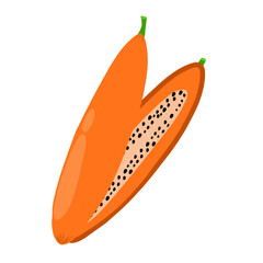 Papaya Illustration