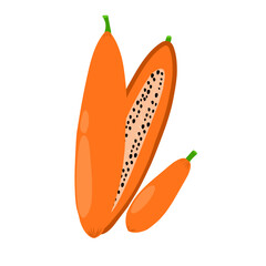Papaya Illustration