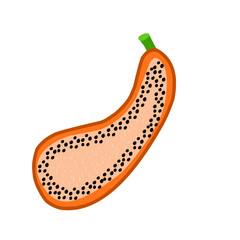 Papaya Illustration
