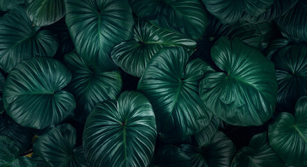 Obraz na płótnie Canvas Full Frame of Green Leaves Pattern Background, Nature Lush Foliage Leaf Texture, tropical leaf