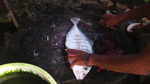 Caranx ignobilis. clean and cut fish manually using a knife.