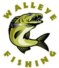 illustration of a Walleye fish jumping isolated on white with words " walleye Fishing"