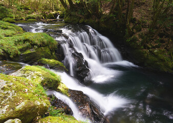 阿蘇山の伏流水を集めて流れる滝　熊本県の観光地菊池渓谷の滝