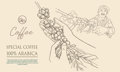 Fototapeta na wymiar coffee label packaging of drawing and vector. coffee banner for promotion digital of coffee bean. poster coffee and sticker label