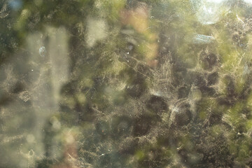 Dirty glass. Dust on window. Dirt details. Turbid surface.