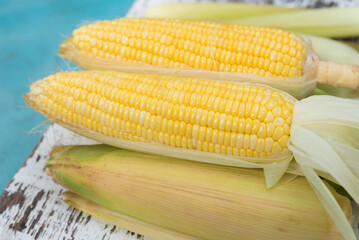 Sweet Corn on white background, Yellow Sweet corn on wood  background , Yellow Corn, sweet corn, healthy organic food, bio nutrition