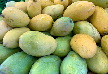 A pile of fresh colorful tropical mangoes in the supermarket