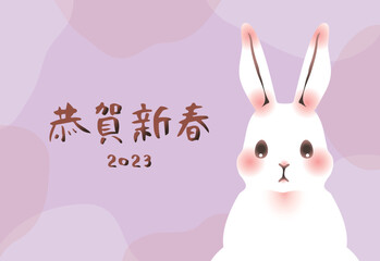  2023年卯年の年賀状　横（恭賀新春・ピンク系）