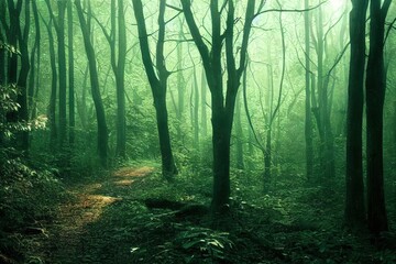 Obraz premium A dark and moody forest path with the sunlight peaking through the canopy on the the forest floor