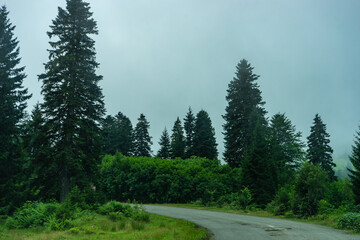 Fototapeta premium Caucasus mountain in georgian region Guria