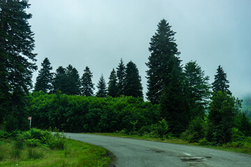 Fototapeta premium Caucasus mountain in georgian region Guria