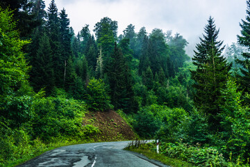 Obraz premium Caucasus mountain in georgian region Guria