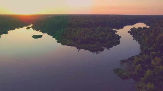  Louisiana swamp bay bayou cypress trees sunset steady shot