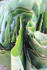 Obraz premium Close-up of folded banana leaf