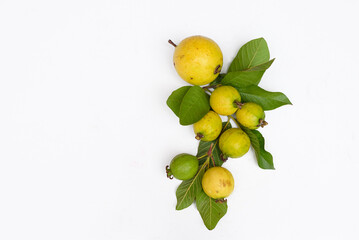 Ripe guava fruit with leaves on white background with copy space