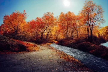 Der Weg zum Bergsee. Herbstbäume am Bergsee. Blick auf den Bergsee. See in den Herbstbergen © 2ragon