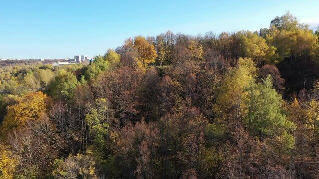 Autumn landscape. View of the forest in autumn, aerial photography of the forest. High quality 4k footage