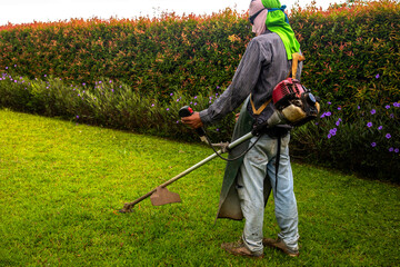Worker man mows the lawn grass with a lawn mower.