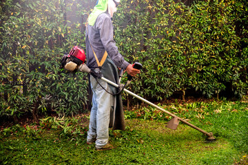Worker man mows the lawn grass with a lawn mower.