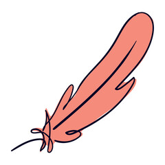 pink bird feather