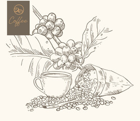 coffee label packaging of drawing vintage ink on paper for product. coffee banner advertising for digital promotion. coffee ink drawing