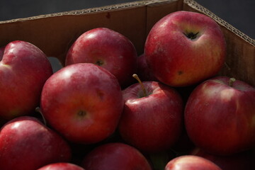 Apples of different varieties on sale at the market.