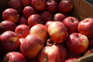 Fototapeta na wymiar Apples of different varieties on sale at the market.