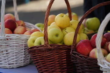 Apples of different varieties on sale at the market.