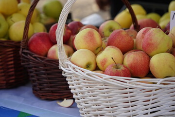 Apples of different varieties on sale at the market.