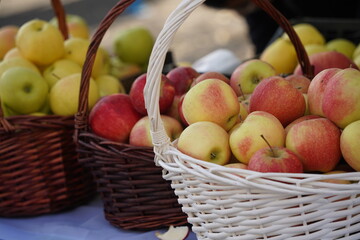 Apples of different varieties on sale at the market.
