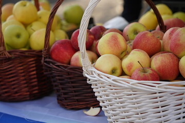 Apples of different varieties on sale at the market.
